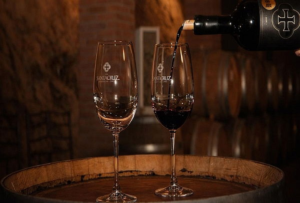 Tour Grandes Vinos + Teleférico + Museo del Meteorito