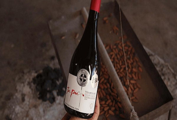 Tour Grandes Vinos + Teleférico + Museo del Meteorito