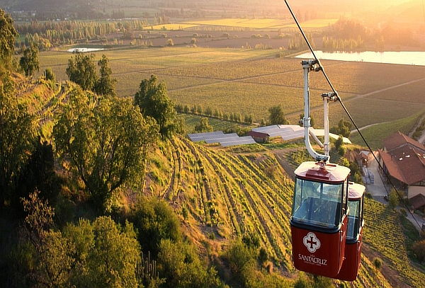 Tour Grandes Vinos + Teleférico + Museo del Meteorito