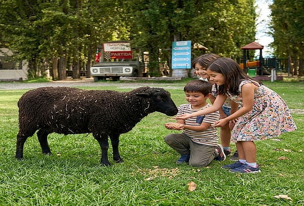  Entrada Arca del Pequen + Pack Juegos 