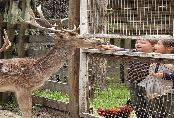  Entrada Arca del Pequen + Pack Juegos 