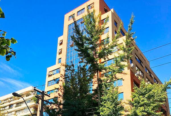 6 u 8 Sesiones de Tratamiento Reductivo, Yesoterapia y Más