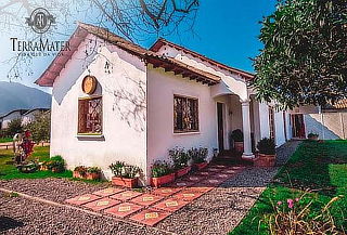Tour Mediterráneo en Viña Terramater
