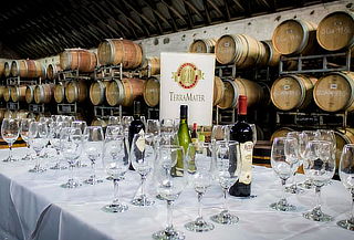 Degustación de Aceites de Oliva en Viña Terramater