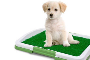 Baño para Mascotas Puppy Potty Pad Pequeño o XL