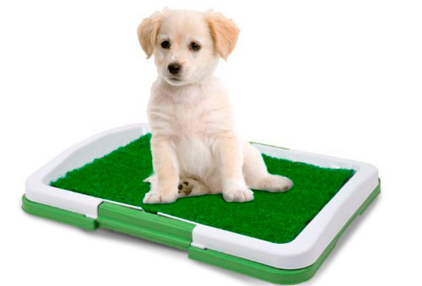 Baño para Mascotas Puppy Potty Pad Pequeño o XL