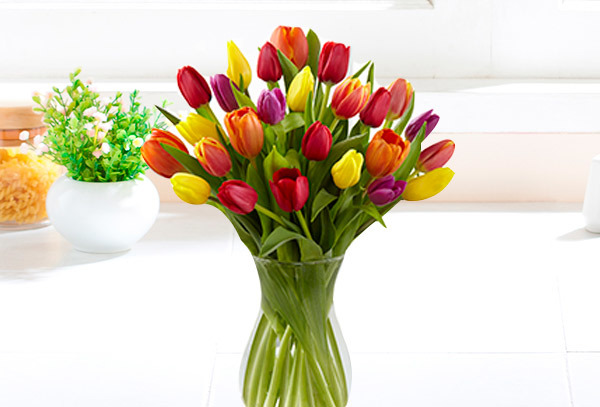 Florero de 10 o 20 varas de Tulipanes a Domicilio