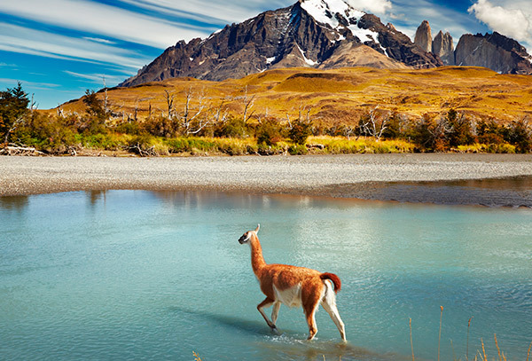 Fds largo 12 de Octubre Descubriendo la Patagonia vía LAN