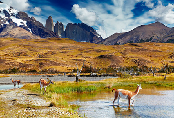 Vacaciones de Invierno Recorriendo la Patagonia vía SKY