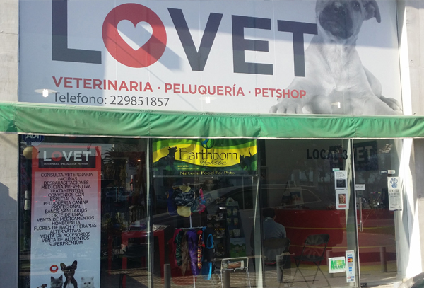 Consulta veterinaria + 10% de dcto. en peluquería, en Ñuñoa