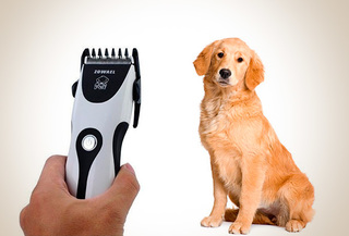 Maquina para cortar pelo para perros