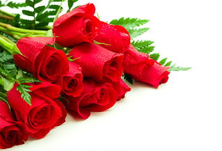 25% Bouquet de 12 rosas ecuatorianas