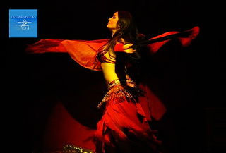 8 clases de flamenco, baile clásico, jazz, árabe o canto 