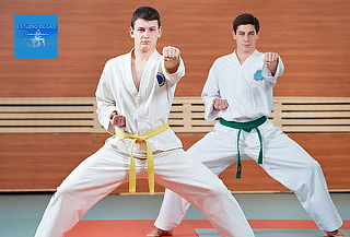 8 clases de Karate en Santiago Centro