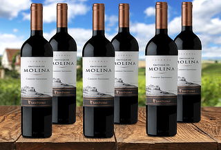 6 botellas vino Castillo Molina Gran Reserva Cabernet S.