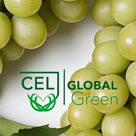 Cel Global Green
