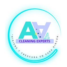 Cleaning expert