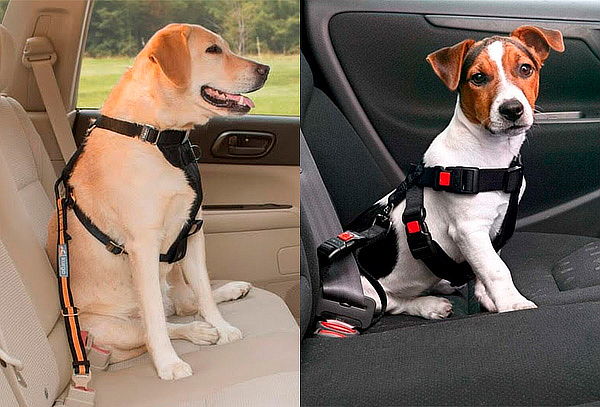 Cinturón de Seguridad Perro Grande y Pequeño	