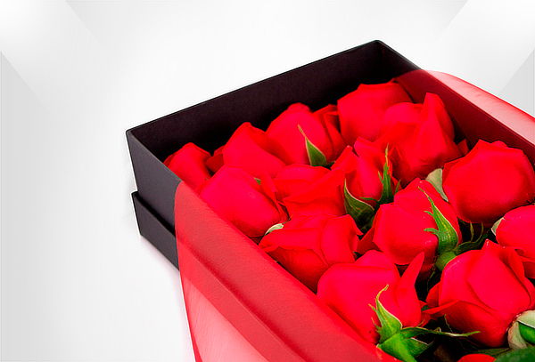 Caja de 24 Rosas Rojas de Lujo 