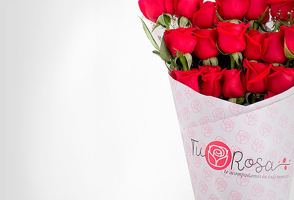 Bouquet de 24 Rosas Rojas Tipo Exportación + Mensaje 