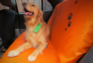 Protector Sillas de Carro contra Pelos de Mascotas 42%