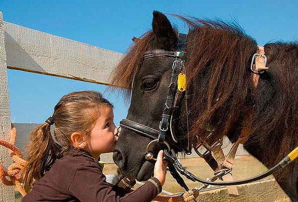 Clases de Equitación y Estimulación para Niños y Jóvenes. 