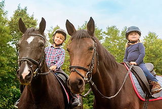 Clases para Aprender a Montar a Caballo o Estimulación 