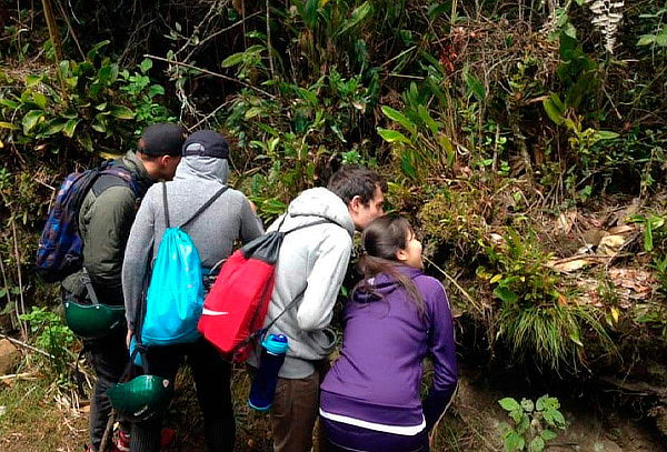 2x1 Caminata por la Calera y avistamiento de Orquídeas 