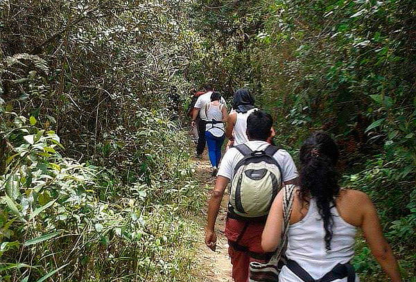 2x1 Caminata por la Calera y avistamiento de Orquídeas 