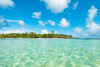 San Andrés: Haynes Cay + Acuario + Manglares + Vuelta Isla