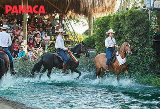 Pasaporte Terra + 5 Shows Espectaculares + 10 Estaciones