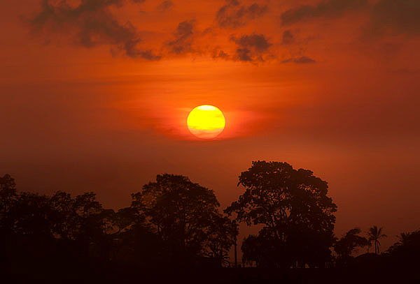 Ruta Amanecer Llanero + Desayuno + Almuerzo