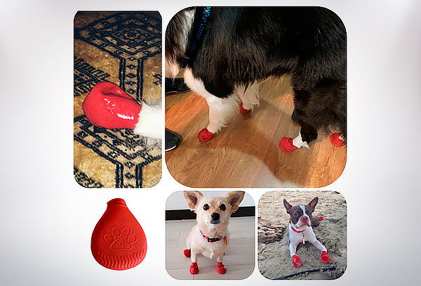 Zapatos Protectores para Perros en Talla a Elección