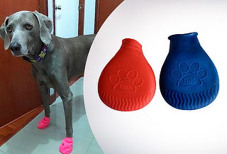 Zapatos Protectores para Perros en Talla a Elección