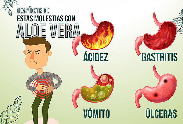 Bebida con ALOE VERA a base de Té Verde + Limón + Toronja