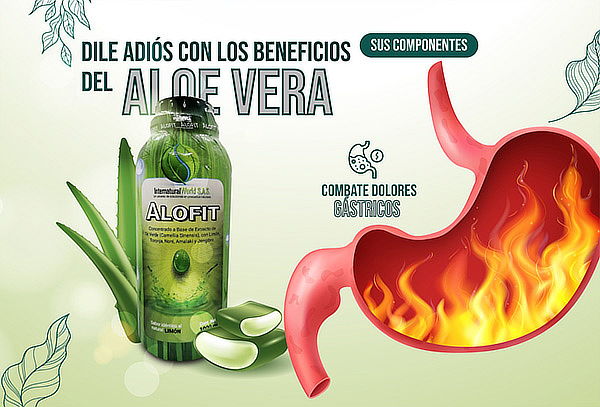 Bebida con ALOE VERA a base de Té Verde + Limón + Toronja