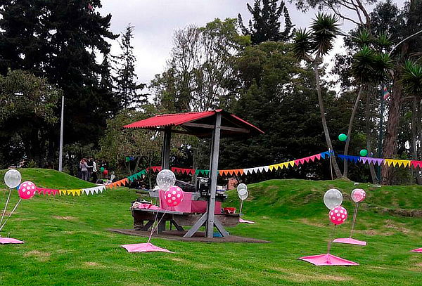  Fiesta Infantil Extrema y Deportiva, Plan Animación 