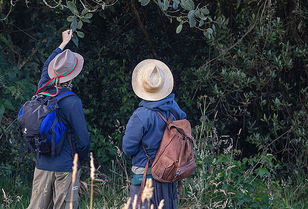 Senderismo en el Cerro Manjui para 2 Personas