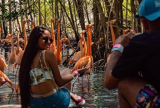 BARÚ ECOPLAN BASIC:  Aviario + Día de playa + Almuerzo