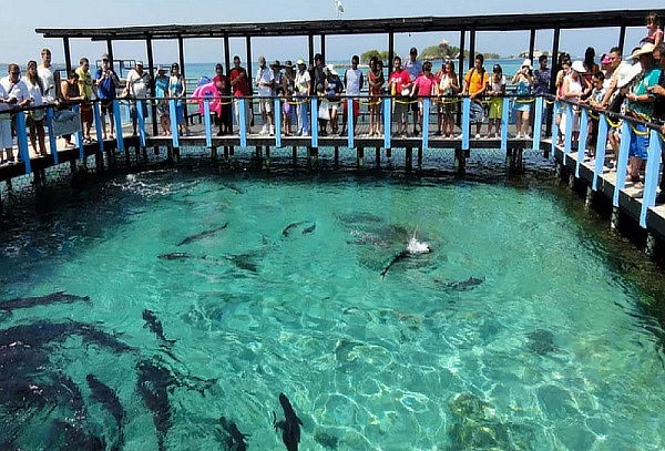 BARÚ EXPLORA: Traslado en lancha + Visita Acuario + Almuerzo