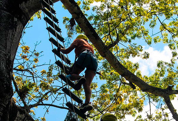 Canopy en Utica + Puente Indiana Jones + Piscina en Útica