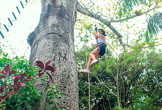 Canopy en Utica + Puente Indiana Jones + Piscina en Útica