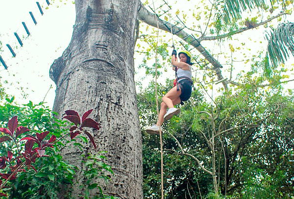 Canopy en Utica + Puente Indiana Jones + Piscina en Útica