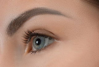 Cejas Hermosas: Diseño + Depilación en Hilo y Pigmentación