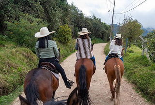 Cabalgata Para 2 + Canelazo + Parrillada - Vía La Calera.