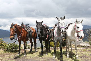 Plan Dúo - Cabalgata + Canelazo - Vía La Calera.