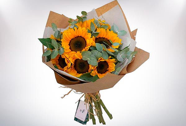 Hermoso Bouquet de 8 Girasoles, Acompañado de Fino Follaje