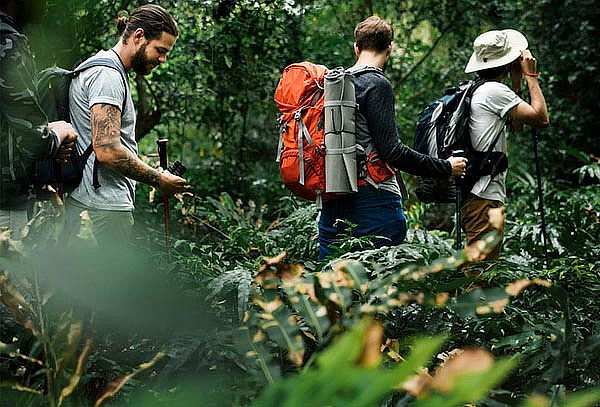 Plan Verde Aventura con Caminata Ecológica, Canyoning