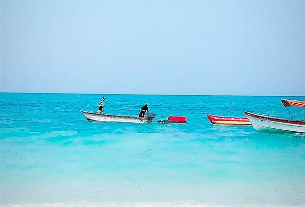 Tour Terrestre a Playa Blanca - Isla Barú + Almuerzo 