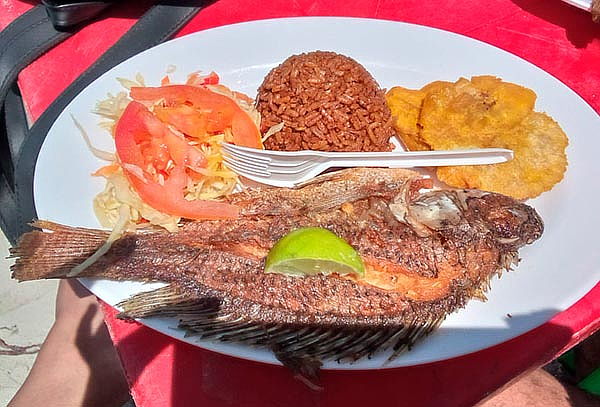 Pasadía en Tierra Bomba Cartagena: Almuerzo + Traslados